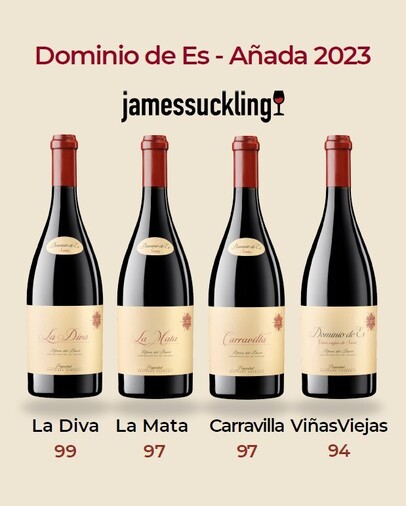 La Diva de Dominio de ES en la cumple de los vinos de Ribera