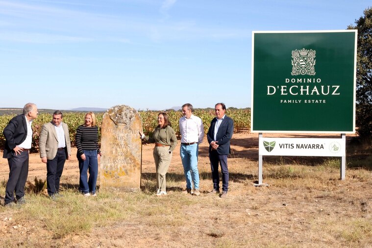 Casi 300 millones de kilos de uva en la vendimia de Castilla y León