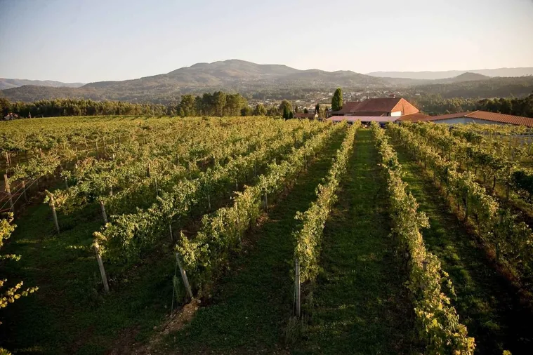 Bodegas del municipio en la Barcelona Wine Week (BWW)
