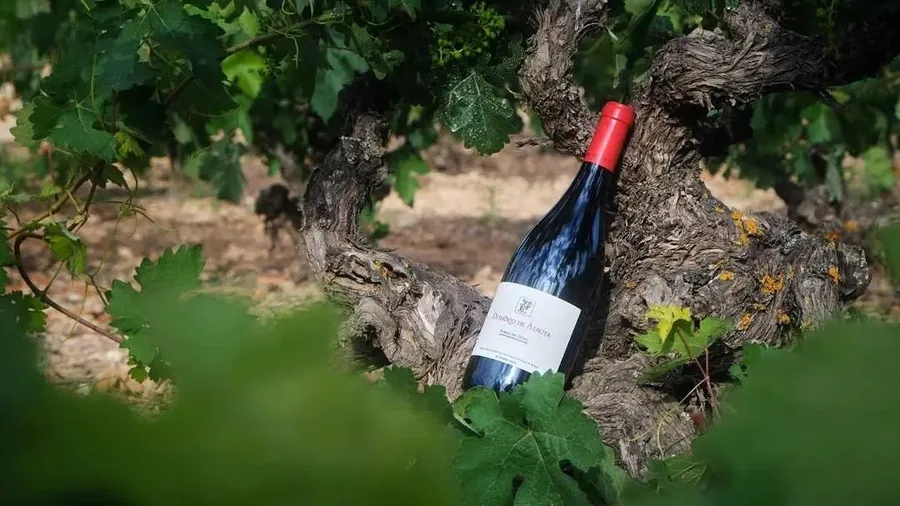 El vino Dominio de Atauta se promociona en Puerto Rico