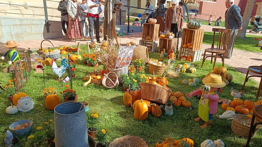 Una calabaza gigante que reta a la sequía
