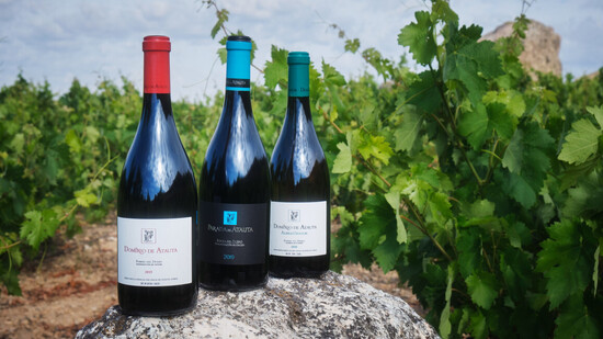 Dominio de Atauta en la élite de la Ribera del Duero