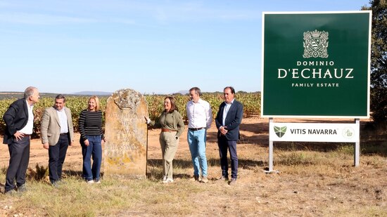 Casi 300 millones de kilos de uva en la vendimia de Castilla y León